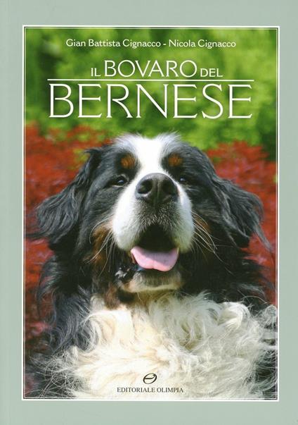 Il bavaro del bernese -  G. Battista Cignacco - copertina