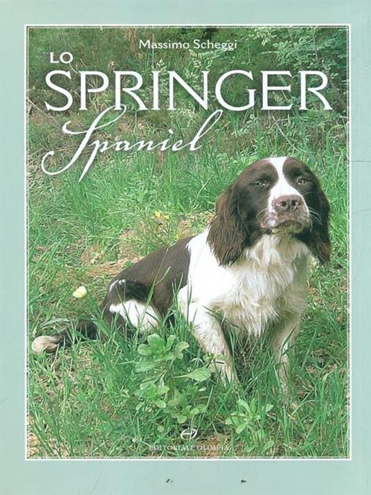 Lo springer spaniel - Massimo Scheggi - copertina