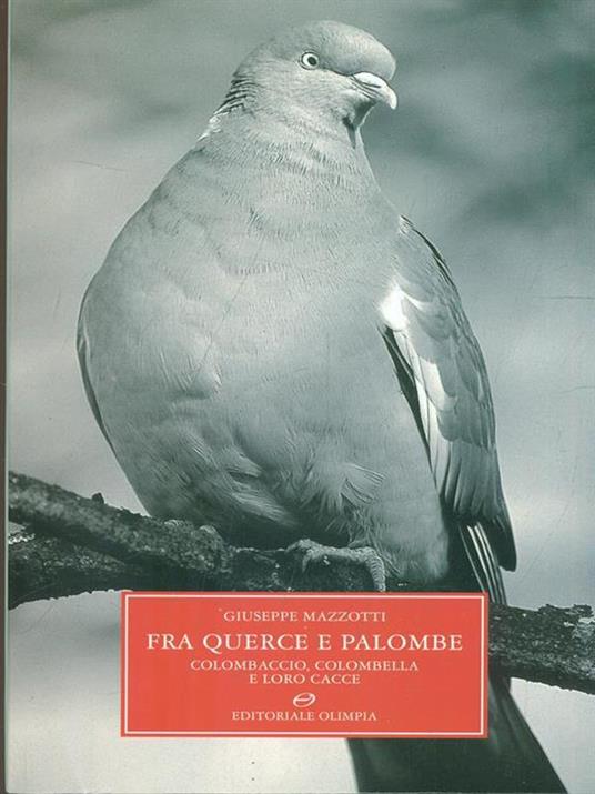 Fra querce e palombe. Colombaccio, colombella e loro cacce - Giuseppe Mazzotti - copertina