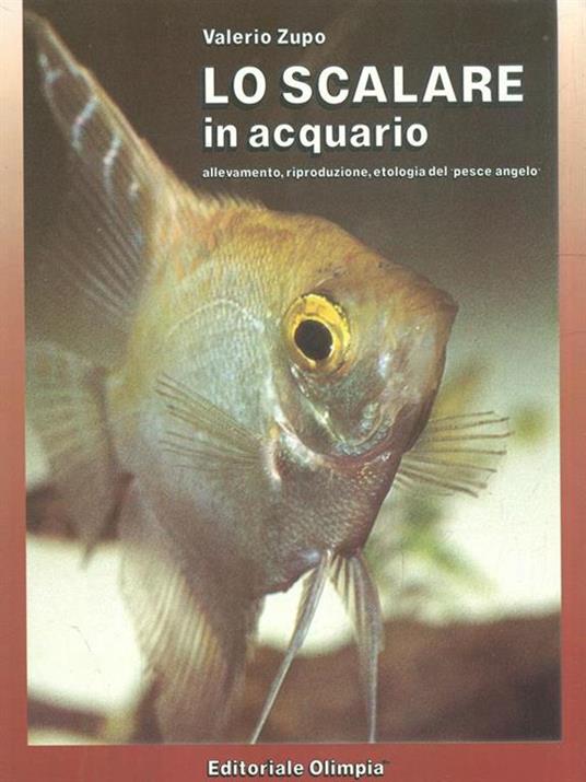 Lo scalare in acquario - Valerio Zupo - 4