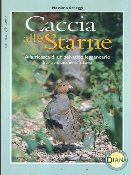 Caccia alle starne. Alla ricerca di un selvatico leggendario fra tradizione e futuro - Massimo Scheggi - copertina