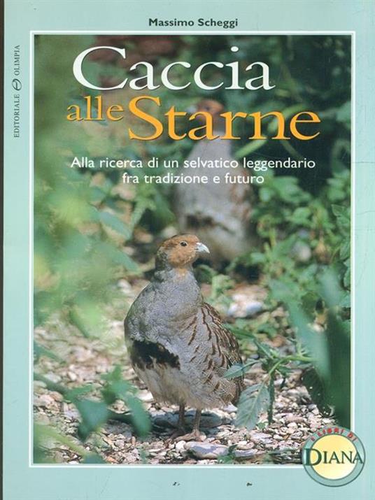 Caccia alle starne. Alla ricerca di un selvatico leggendario fra tradizione e futuro - Massimo Scheggi - copertina