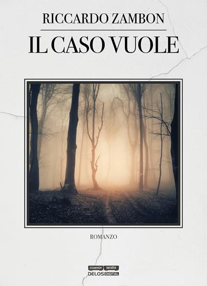 Il caso vuole - Riccardo Zambon - copertina