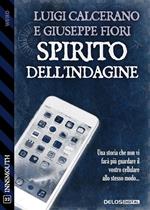 Spirito dell'indagine