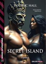 Secret island. Vol. 1
