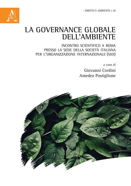 La governance globale dell'ambiente. Incontro scientifico a Roma presso la sede della Società Italiana per l'Organizzazione Internazionale (SIOI) - copertina