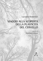 Viaggio alla scoperta della plasticità del cervello