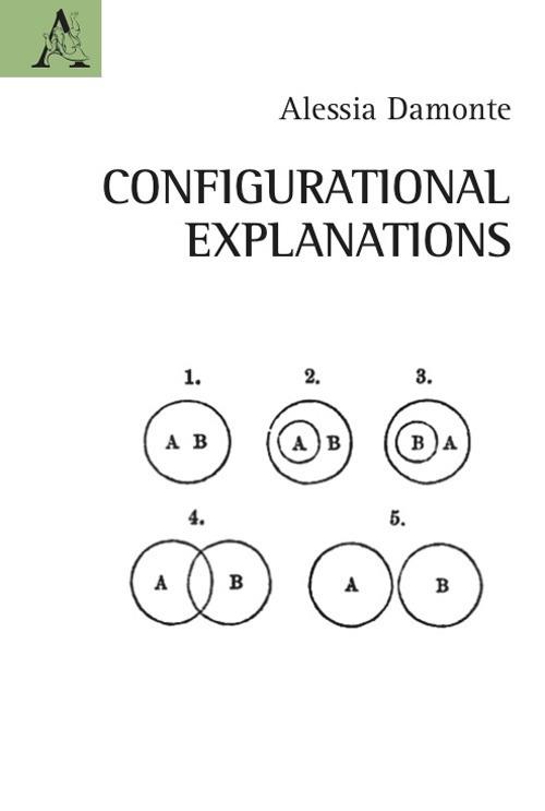 Configurational explanations - Alessia Damonte - copertina