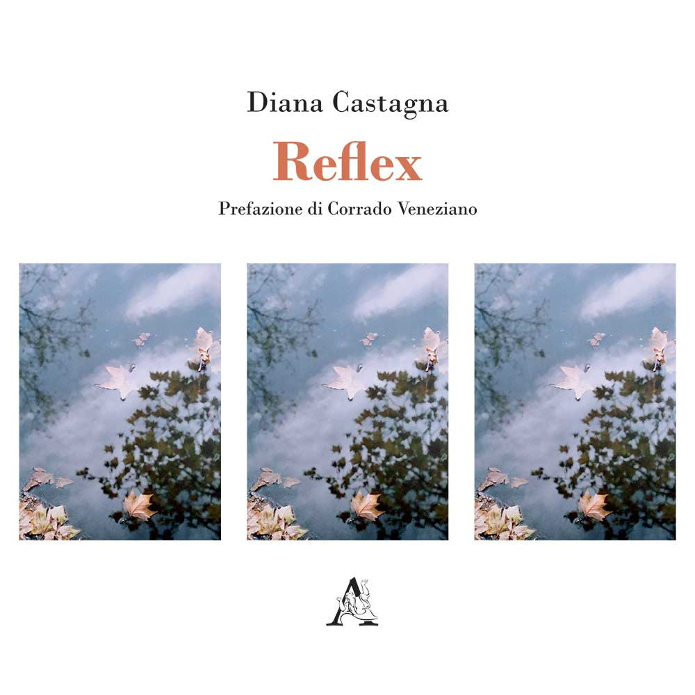 Nocilli distribuzione libri