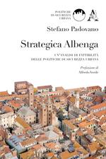 Strategica Albenga. Un'analisi di fattibilità delle politiche di sicurezza urbana
