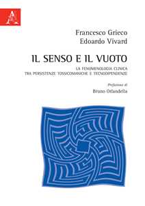 Il senso e il vuoto. La fenomenologia clinica tra persistenze tossicomaniache e tecnodipendenze