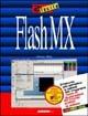  Flash MX