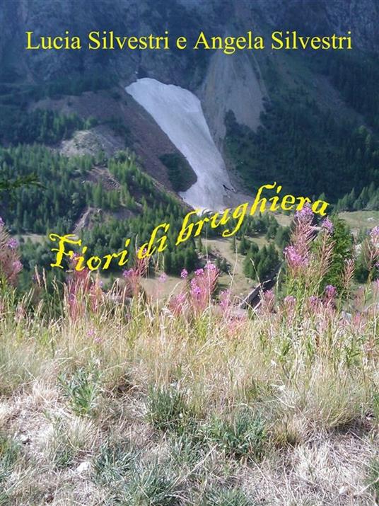 Fiori di brughiera - Angela Silvestri,Lucia Silvestri - ebook