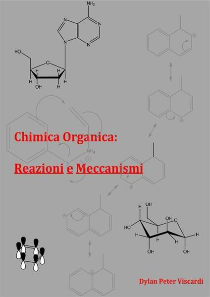 Chimica organica: reazioni e meccanismi - Dylan Peter Viscardi - ebook