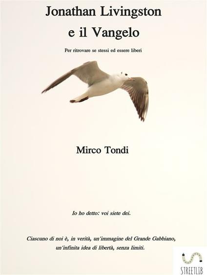 Jonathan Livingston e il Vangelo - Mirco Tondi - ebook