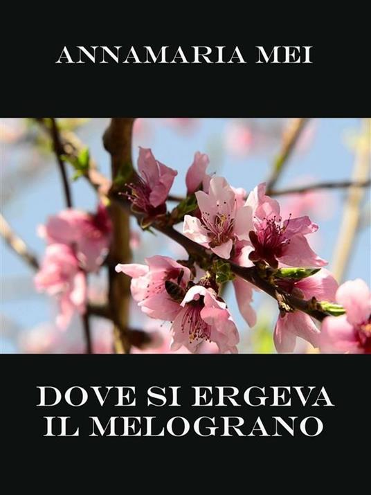 Dove si ergeva il melograno - Annamaria Mei - ebook