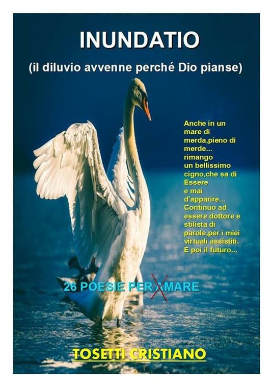Inundatio - Tosetti Cristiano - ebook