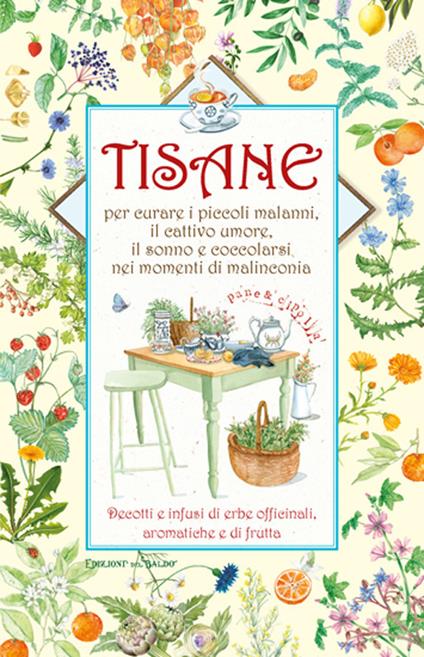 Tisane infusi e decotti - copertina