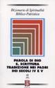 Dizionario di spiritualità biblico-patristica. Vol. 48: Parola di Dio. S. Scrittura. Tradizione nei Padri dei secoli IV e V. - copertina