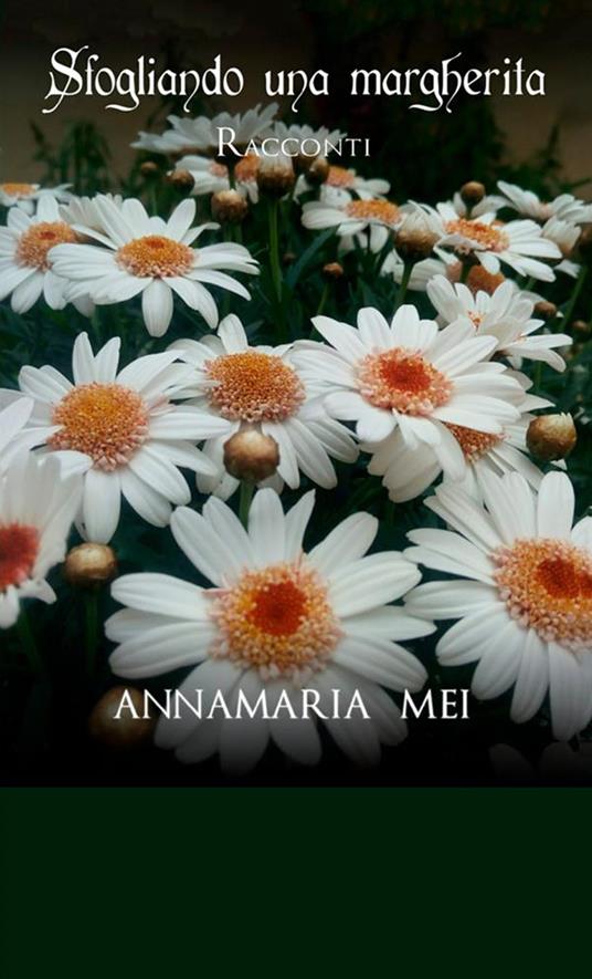 Sfogliando una margherita - Annamaria Mei - copertina