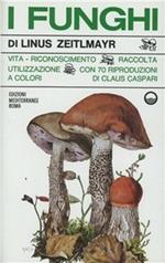 I funghi