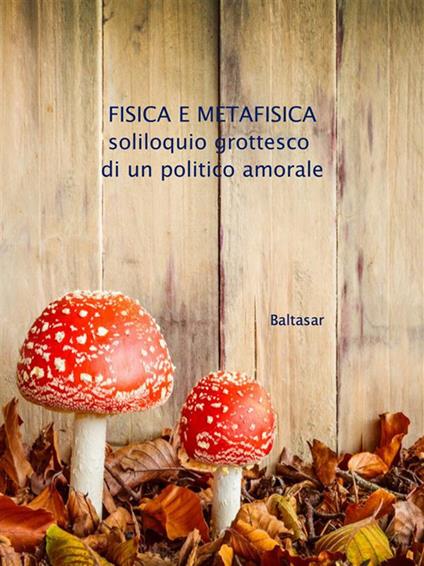 Fisica e metafisica. Soliloquio grottesco di un politico amorale - Baltasar - ebook