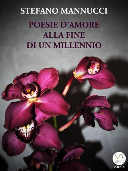 Poesie d'amore alla fine di un millennio - Stefano Mannucci - ebook