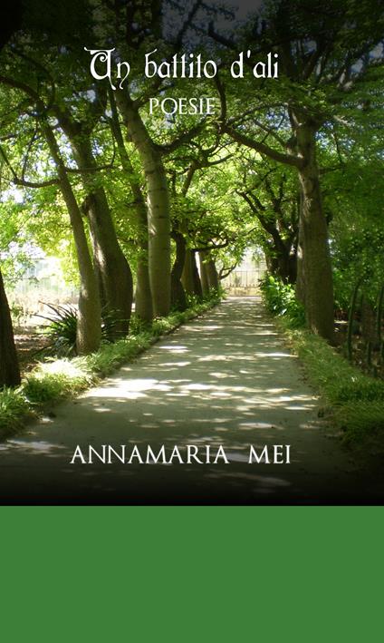 Un battito d'ali - Annamaria Mei - copertina