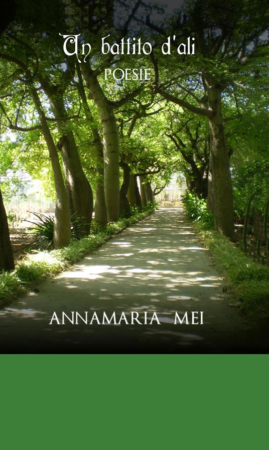 Un battito d'ali - Annamaria Mei - copertina