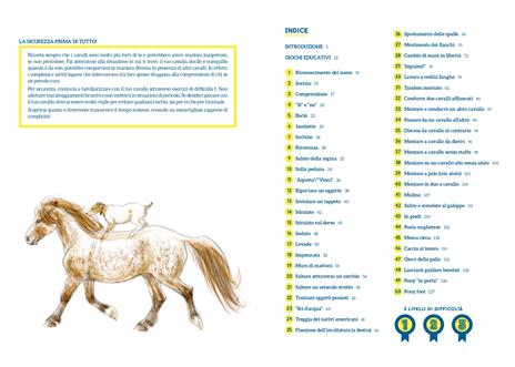 50 giochi e attività per educare il tuo cavallo. Ediz. a colori - Claude Lux - 2