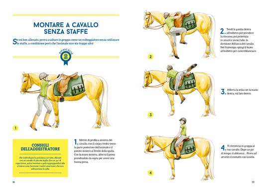 50 giochi e attività per educare il tuo cavallo. Ediz. a colori - Claude Lux - 7