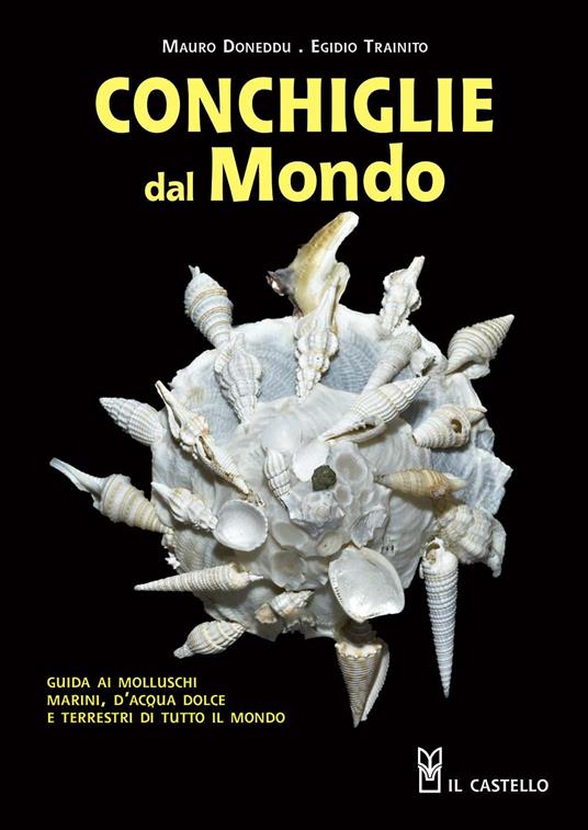 Conchiglie dal mondo. Guida ai molluschi marini, d'acqua dolce e terrestri di tutto il mondo. Ediz. a colori - Mauro Doneddu,Egidio Trainito - copertina