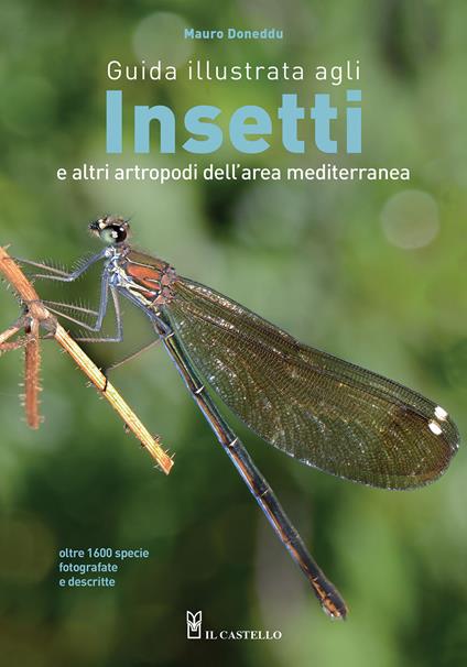 Guida illustrata agli insetti e altri artropodi dell'area mediterranea. Ediz. a colori - Mauro Doneddu - copertina