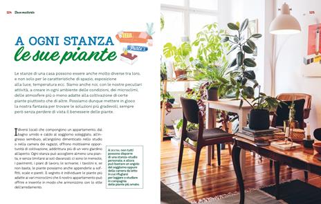 Le piante da interno per un giardino in casa. Ediz. illustrata - Eliana Ferioli - 6