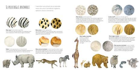 Disegniamo gli animali. Guida al disegno naturalistico con le matite colorate. Ediz. a colori - Annalisa Durante,Marina Durante - 3