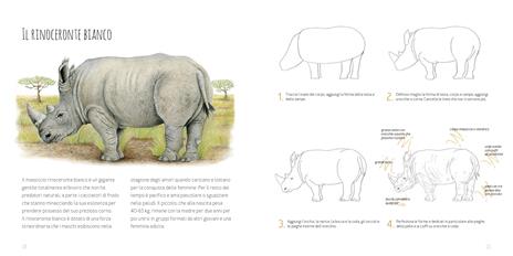 Disegniamo gli animali. Guida al disegno naturalistico con le matite colorate. Ediz. a colori - Annalisa Durante,Marina Durante - 4