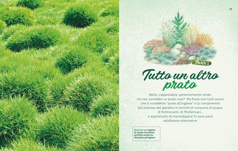 Un giardino a prova di siccità. Giardinaggio sostenibile per affrontare i cambiamenti climatici - Eliana Ferioli - 5