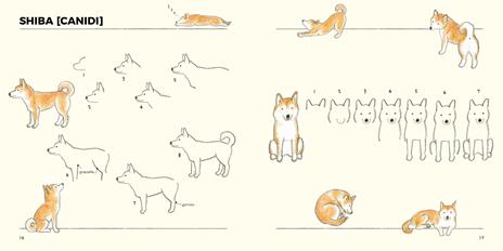 Disegnare animali con le matite colorate. Per principianti - Ai Akikusa - 3