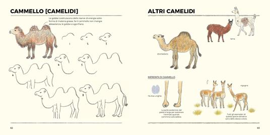 Disegnare animali con le matite colorate. Per principianti - Ai Akikusa - 5