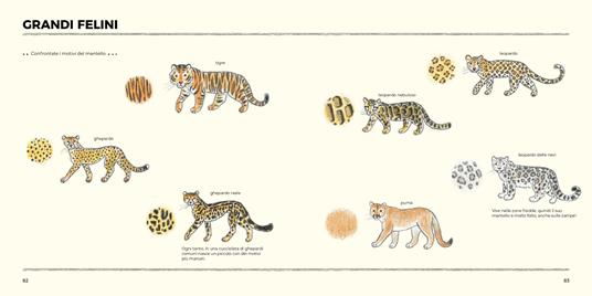 Disegnare animali con le matite colorate. Per principianti - Ai Akikusa - 6