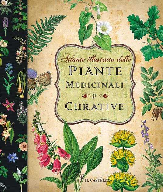 Atlante illustrato delle piante medicinali e curative - copertina