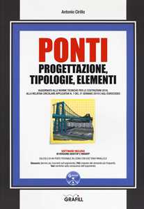 Ponti. Progettazione, tipologie, elementi. Con software