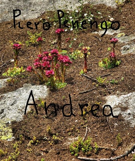 Andrea - Piero Penengo - ebook