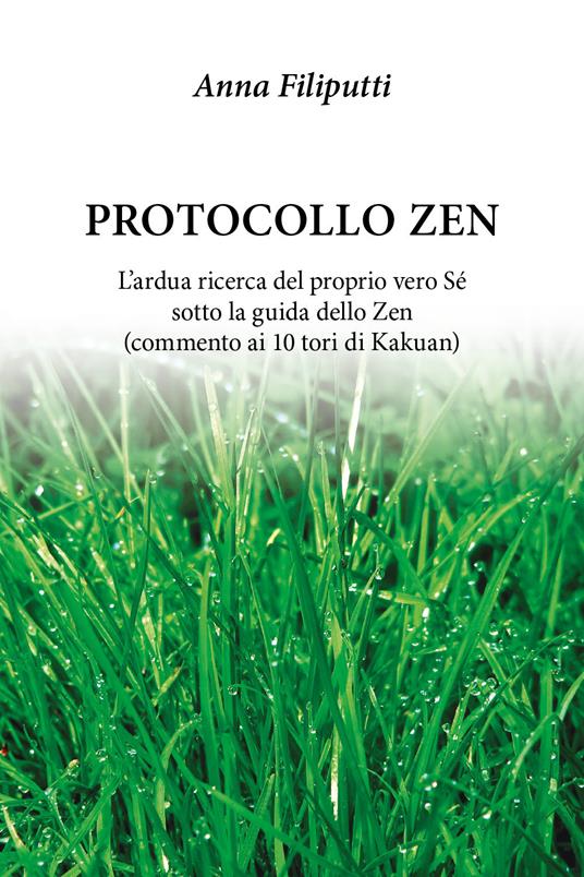 Protocollo zen - Anna Filiputti - copertina