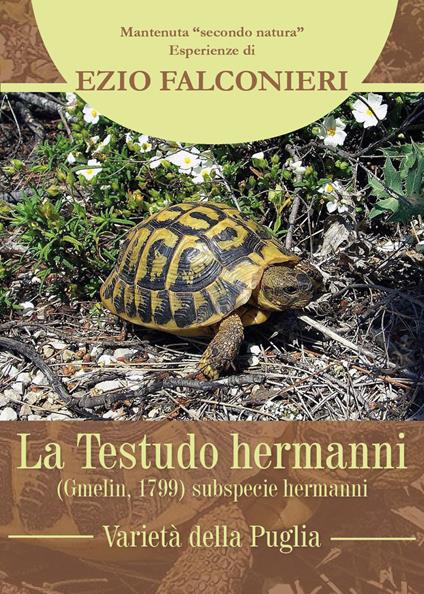 La Testudo hermanni. Varietà di Puglia - Ezio Falconieri - copertina