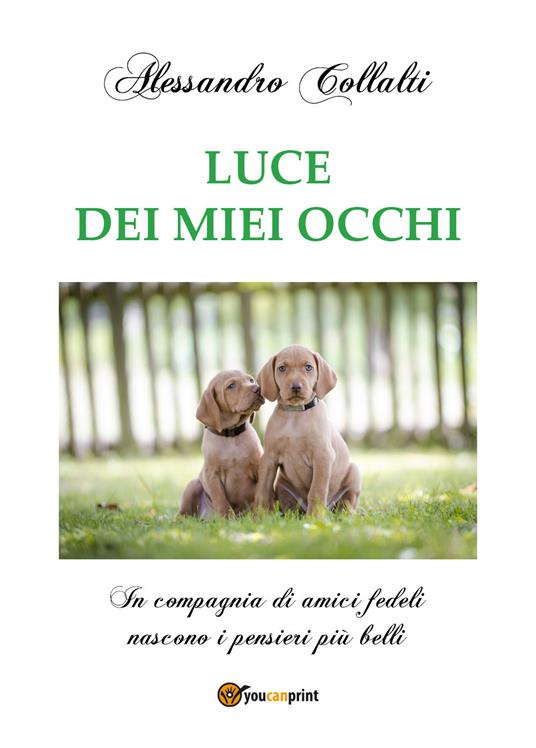 Luce dei miei occhi - Alessandro Collalti - copertina