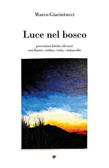 Luce nel bosco - Marco Giacintucci - copertina