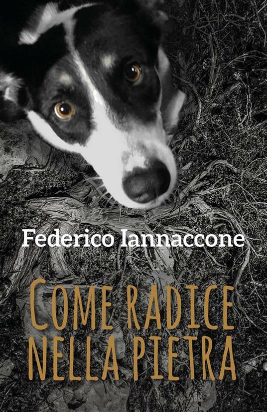 Come radice nella pietra - Federico Iannaccone - ebook