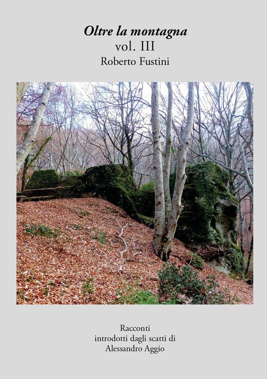 Oltre la montagna. Vol. 3 - Roberto Fustini - copertina
