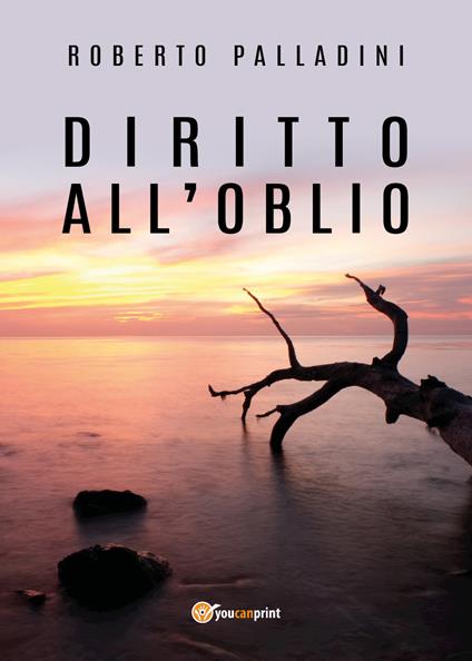 Diritto all'oblio - Roberto Palladini - copertina